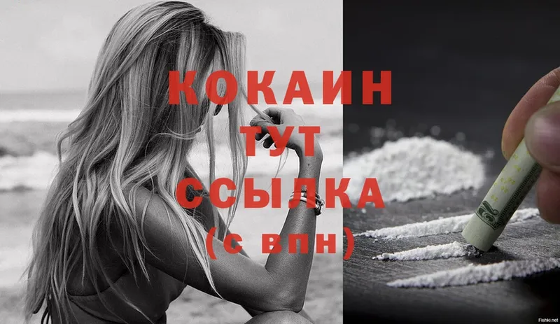 Cocaine FishScale  Ахтубинск 